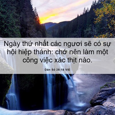 Picture 06 - Dân Số 28:18 VIE - Ngày thứ nhất các ngươi sẽ có sự - Bible Verse Picture