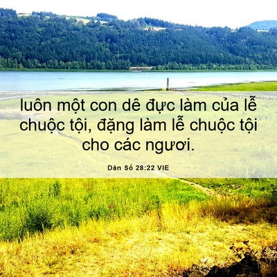 Picture 06 - Dân Số 28:22 VIE - luôn một con dê đực làm của lễ - Bible Verse Picture