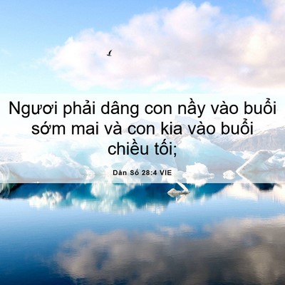 Picture 06 - Dân Số 28:4 VIE - Ngươi phải dâng con nầy vào buổi sớm - Bible Verse Picture