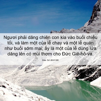 Picture 06 - Dân Số 28:8 VIE - Ngươi phải dâng chiên con kia vào buổi - Bible Verse Picture