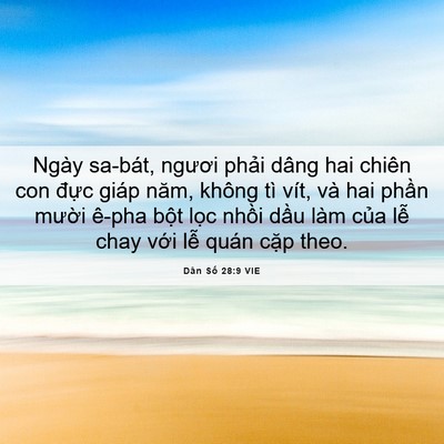 Picture 06 - Dân Số 28:9 VIE - Ngày sa-bát, ngươi phải dâng hai chiên - Bible Verse Picture