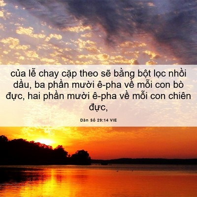 Picture 06 - Dân Số 29:14 VIE - của lễ chay cặp theo sẽ bằng bột - Bible Verse Picture