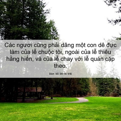 Picture 06 - Dân Số 29:16 VIE - Các ngươi cũng phải dâng một con dê - Bible Verse Picture