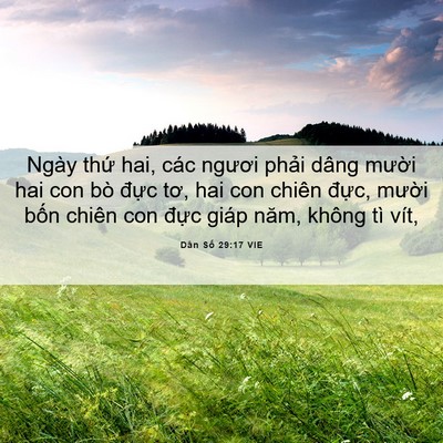 Picture 06 - Dân Số 29:17 VIE - Ngày thứ hai, các ngươi phải dâng - Bible Verse Picture