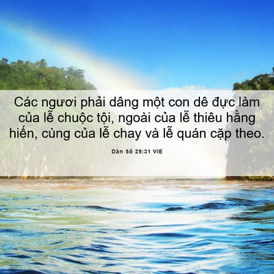 Picture 06 - Dân Số 29:31 VIE - Các ngươi phải dâng một con dê đực - Bible Verse Picture