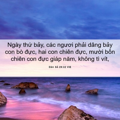 Picture 06 - Dân Số 29:32 VIE - Ngày thứ bảy, các ngươi phải dâng - Bible Verse Picture