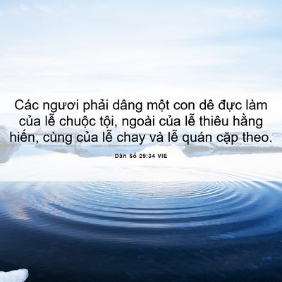 Picture 06 - Dân Số 29:34 VIE - Các ngươi phải dâng một con dê đực - Bible Verse Picture