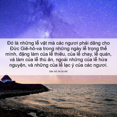 Picture 06 - Dân Số 29:39 VIE - Đó là những lễ vật mà các ngươi - Bible Verse Picture
