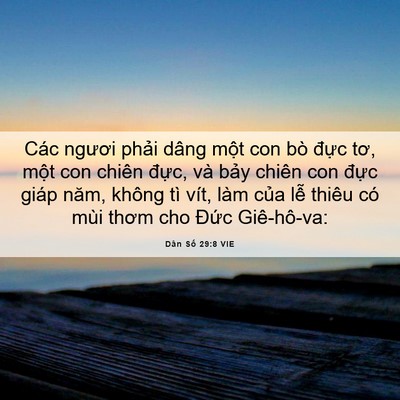 Picture 06 - Dân Số 29:8 VIE - Các ngươi phải dâng một con bò đực - Bible Verse Picture
