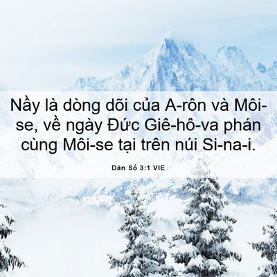 Picture 06 - Dân Số 3:1 VIE - Nầy là dòng dõi của A-rôn và Môi-se, - Bible Verse Picture