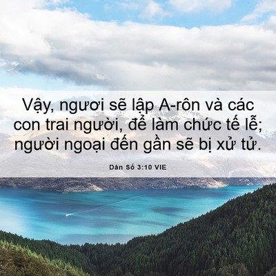 Picture 06 - Dân Số 3:10 VIE - Vậy, ngươi sẽ lập A-rôn và các con - Bible Verse Picture