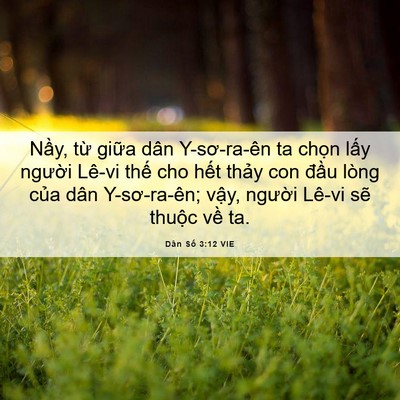 Picture 06 - Dân Số 3:12 VIE - Nầy, từ giữa dân Y-sơ-ra-ên ta chọn - Bible Verse Picture