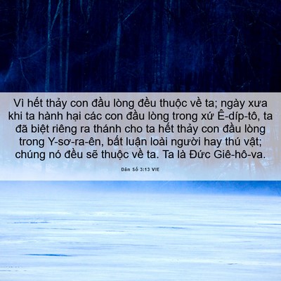 Picture 06 - Dân Số 3:13 VIE - Vì hết thảy con đầu lòng đều thuộc - Bible Verse Picture