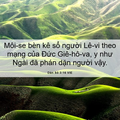 Picture 06 - Dân Số 3:16 VIE - Môi-se bèn kê sổ người Lê-vi theo mạng - Bible Verse Picture
