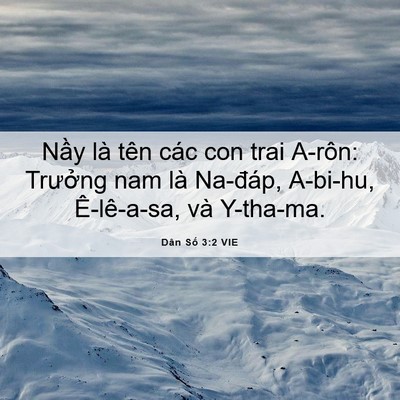 Picture 06 - Dân Số 3:2 VIE - Nầy là tên các con trai A-rôn: Trưởng - Bible Verse Picture