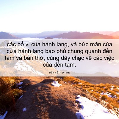 Picture 06 - Dân Số 3:26 VIE - các bố vi của hành lang, và bức màn - Bible Verse Picture