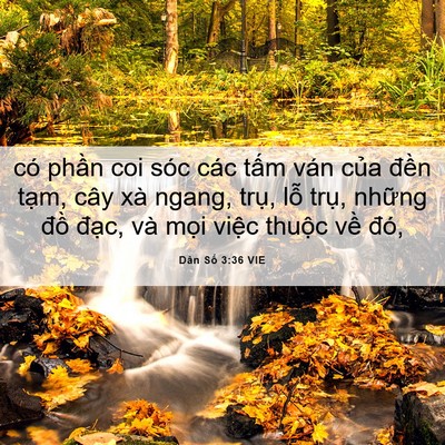 Picture 06 - Dân Số 3:36 VIE - có phần coi sóc các tấm ván của đền - Bible Verse Picture