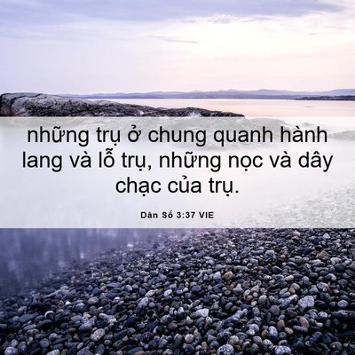 Picture 06 - Dân Số 3:37 VIE - những trụ ở chung quanh hành lang và lỗ - Bible Verse Picture