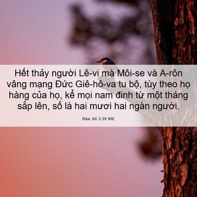 Picture 06 - Dân Số 3:39 VIE - Hết thảy người Lê-vi mà Môi-se và - Bible Verse Picture
