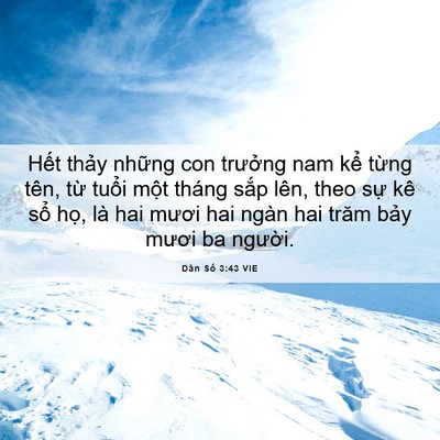 Picture 06 - Dân Số 3:43 VIE - Hết thảy những con trưởng nam kể - Bible Verse Picture