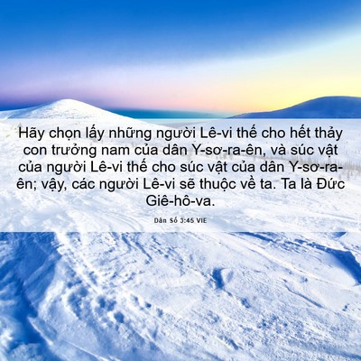 Picture 06 - Dân Số 3:45 VIE - Hãy chọn lấy những người Lê-vi thế - Bible Verse Picture