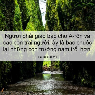 Picture 06 - Dân Số 3:48 VIE - Ngươi phải giao bạc cho A-rôn và các con - Bible Verse Picture
