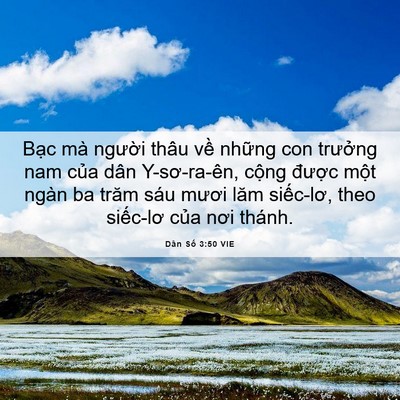 Picture 06 - Dân Số 3:50 VIE - Bạc mà người thâu về những con - Bible Verse Picture