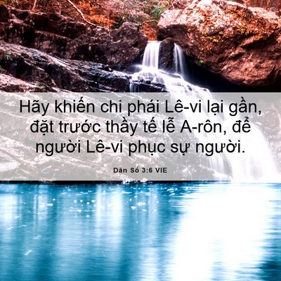 Picture 06 - Dân Số 3:6 VIE - Hãy khiến chi phái Lê-vi lại gần, đặt - Bible Verse Picture