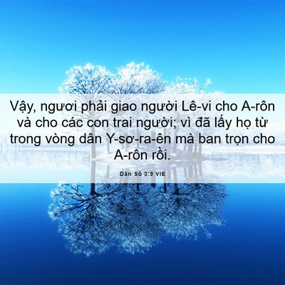 Picture 06 - Dân Số 3:9 VIE - Vậy, ngươi phải giao người Lê-vi cho - Bible Verse Picture