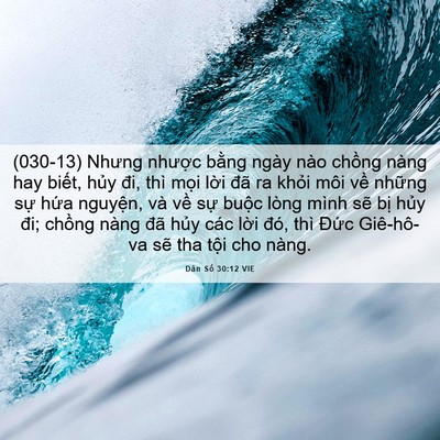 Picture 06 - Dân Số 30:12 VIE - (030-13) Nhưng nhược bằng ngày nào - Bible Verse Picture