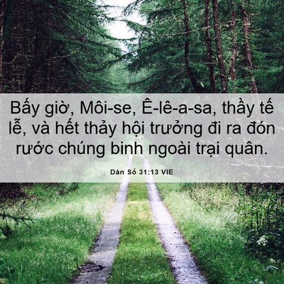 Picture 06 - Dân Số 31:13 VIE - Bấy giờ, Môi-se, Ê-lê-a-sa, thầy tế - Bible Verse Picture