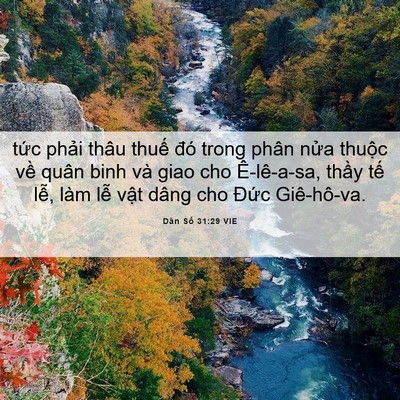Picture 06 - Dân Số 31:29 VIE - tức phải thâu thuế đó trong phân nửa - Bible Verse Picture