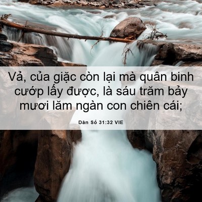 Picture 06 - Dân Số 31:32 VIE - Vả, của giặc còn lại mà quân binh - Bible Verse Picture