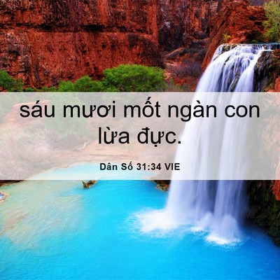 Picture 06 - Dân Số 31:34 VIE - sáu mươi mốt ngàn con lừa - Bible Verse Picture