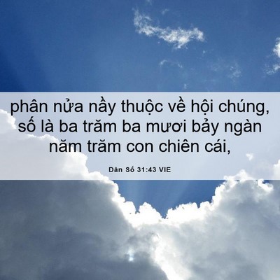 Picture 06 - Dân Số 31:43 VIE - phân nửa nầy thuộc về hội chúng, số - Bible Verse Picture