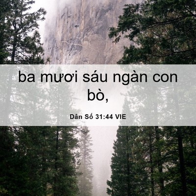 Picture 06 - Dân Số 31:44 VIE - ba mươi sáu ngàn con - Bible Verse Picture