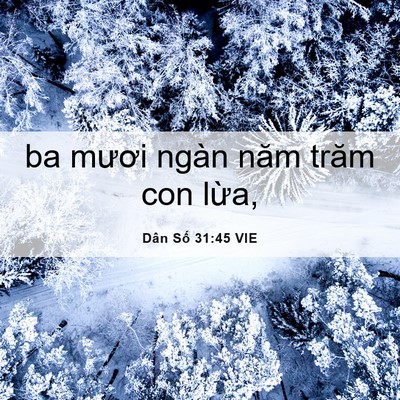 Picture 06 - Dân Số 31:45 VIE - ba mươi ngàn năm trăm con - Bible Verse Picture