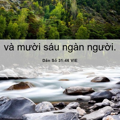 Picture 06 - Dân Số 31:46 VIE - và mười sáu ngàn - Bible Verse Picture