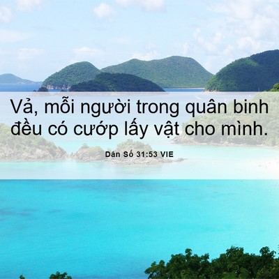 Picture 06 - Dân Số 31:53 VIE - Vả, mỗi người trong quân binh đều có - Bible Verse Picture
