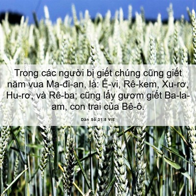 Picture 06 - Dân Số 31:8 VIE - Trong các người bị giết chúng cũng - Bible Verse Picture