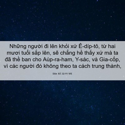 Picture 06 - Dân Số 32:11 VIE - Những người đi lên khỏi xứ - Bible Verse Picture