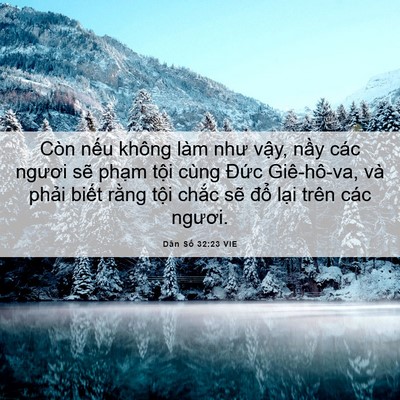 Picture 06 - Dân Số 32:23 VIE - Còn nếu không làm như vậy, nầy các - Bible Verse Picture