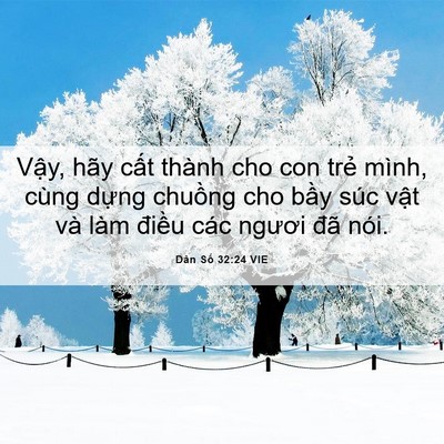 Picture 06 - Dân Số 32:24 VIE - Vậy, hãy cất thành cho con trẻ mình, - Bible Verse Picture