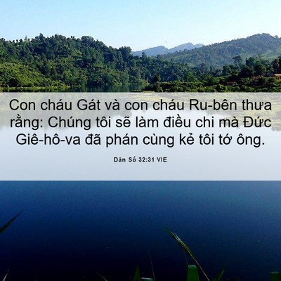 Picture 06 - Dân Số 32:31 VIE - Con cháu Gát và con cháu Ru-bên thưa - Bible Verse Picture