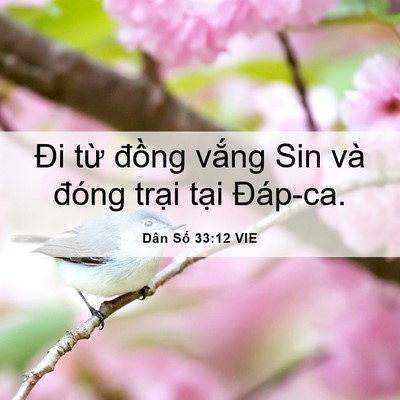 Picture 06 - Dân Số 33:12 VIE - Đi từ đồng vắng Sin và đóng trại - Bible Verse Picture