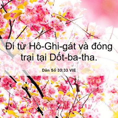 Picture 06 - Dân Số 33:33 VIE - Đi từ Hô-Ghi-gát và đóng trại tại - Bible Verse Picture