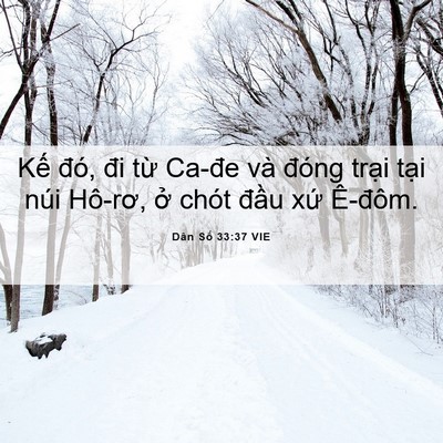 Picture 06 - Dân Số 33:37 VIE - Kế đó, đi từ Ca-đe và đóng trại - Bible Verse Picture
