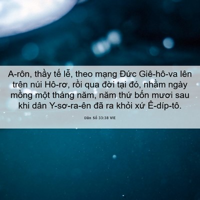 Picture 06 - Dân Số 33:38 VIE - A-rôn, thầy tế lễ, theo mạng Đức - Bible Verse Picture