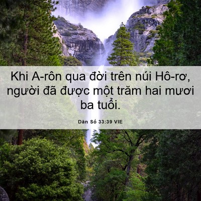 Picture 06 - Dân Số 33:39 VIE - Khi A-rôn qua đời trên núi Hô-rơ, - Bible Verse Picture