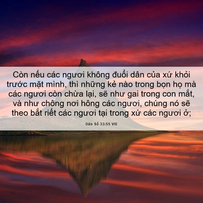 Picture 06 - Dân Số 33:55 VIE - Còn nếu các ngươi không đuổi dân của - Bible Verse Picture